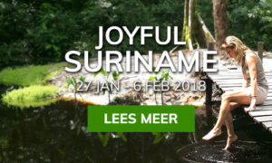 Yoga retreat Suriname