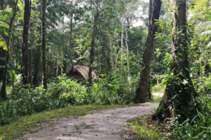 Yoga reis Suriname