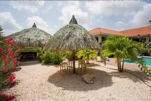 Yoga-in-curacao_8