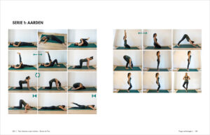Ester de Vos boek yoga